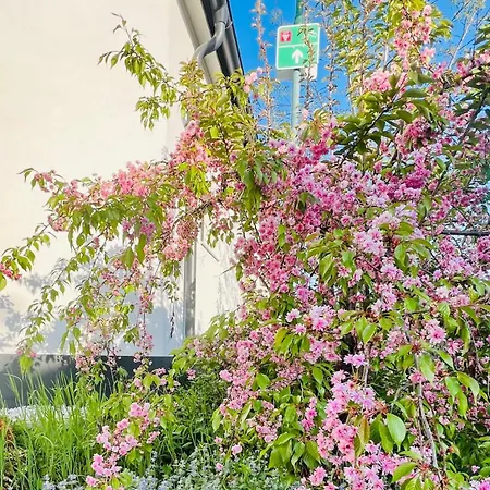 Villa Garden Loft *