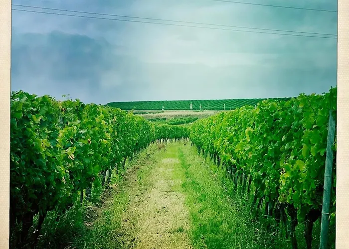 Garden Loft Villa Retz