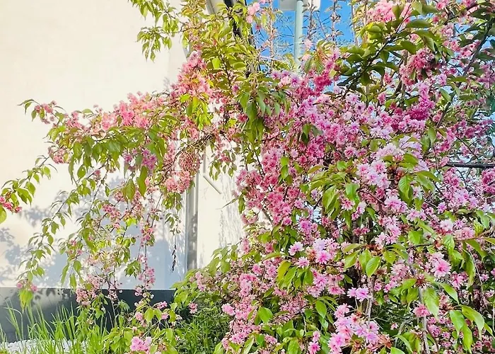 Garden Loft Villa Retz